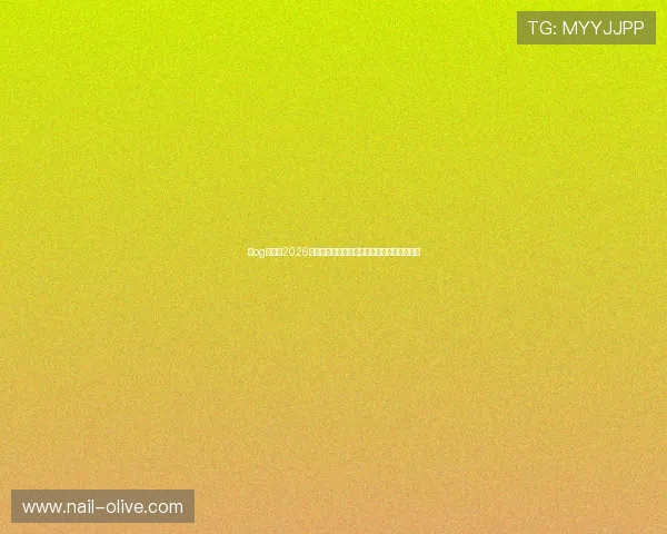 新og视讯：2026世界杯比赛结果实时更新与比分直播平台推荐